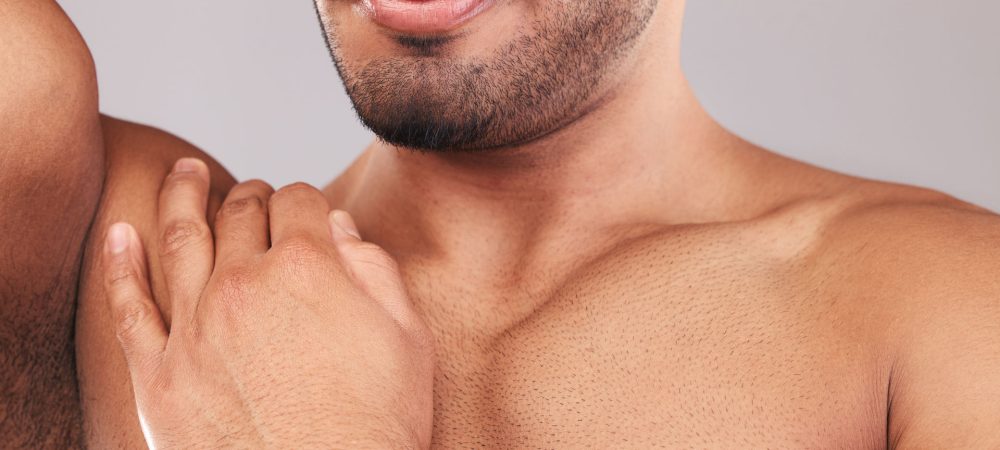 El órgano mas grande del cuerpo es la piel