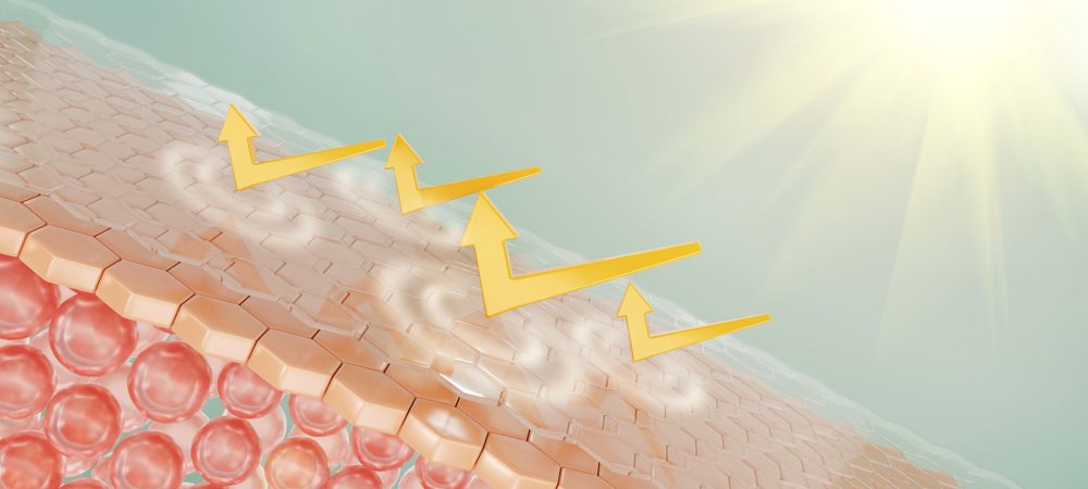 barrera natural de la piel